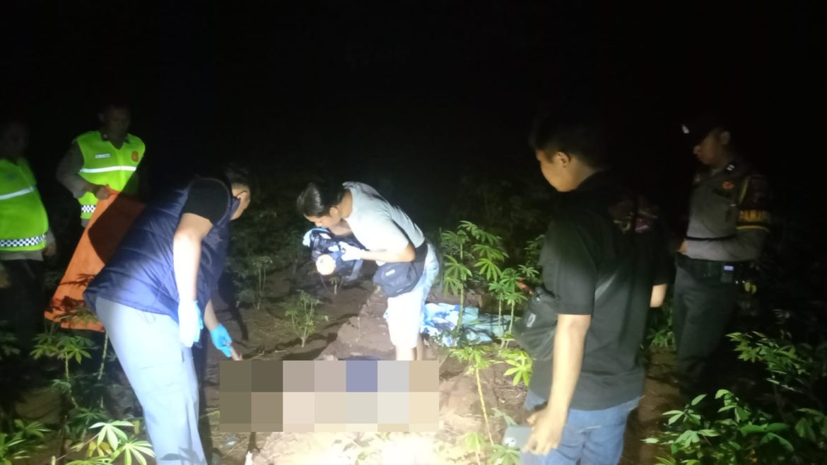 Kakek 82 Tahun di Pekalongan Ditemukan Meninggal di Kebun Singkong Usai 2 Hari Hilang